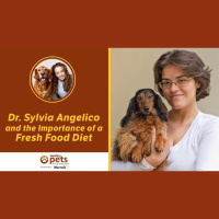 Dr.Becker Interviews Dr. Sylvia Angelico