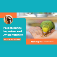 Preaching the Importance of Avian Nutrition With Dr. Jason Crean
