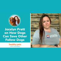 Jocelyn Pratt on How Dogs Can Save Other Fellow Dogs