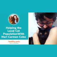 Helping the Local Cat Population With Mari Carmen Cobo