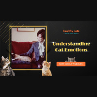 Cat Extravaganza Week- Understanding Cat Emotions 