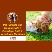 Pet Parents Can Help Initiate a Paradigm Shift in Veterinary Medicine
