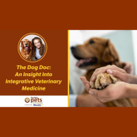 The Dog Doc: An Insight Into Integrative Veterinary Medicine