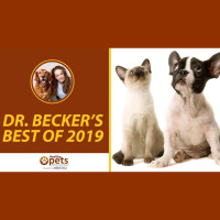 Best of Dr. Becker 2019
