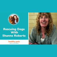 Rescuing Dogs With Shanne Roberts