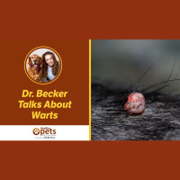 Everything you Need to Know About Canine Warts