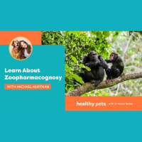 Learn About Zoopharmacognosy with Dr. Becker  Michael Huffman