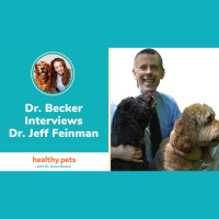 Dr. Karen Becker Interviews Jeff Feinman