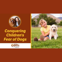 Stefani Cohen Discusses Her Fear of Dogs with Dr. Becker
