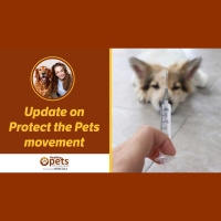 Dr. Becker Interviews Dr John Robb on Protect the Pets Movement 