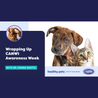 Wrapping Up CANWI Awareness Week