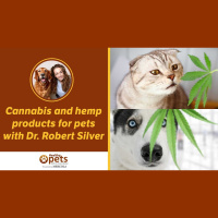 Dr. Becker Interview Robert SIlver