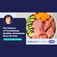 The Science of Formulating Healthy, Homemade Diets for Pets