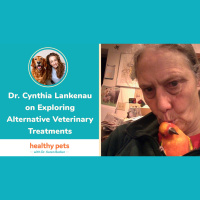 Dr. Cynthia Lankenau on Exploring Alternative Veterinary Treatments