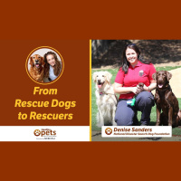 Dr. Becker Interviews Denise Sanders