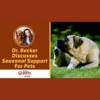 Dr. Becker Discusses Seasonal Support For Pets