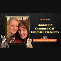 Cat Extravaganza Week- Managing Common Cat Behavior Problems