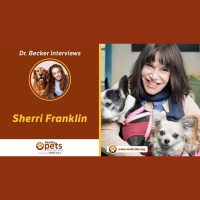 Dr.Becker Interviews Sherri Franklin