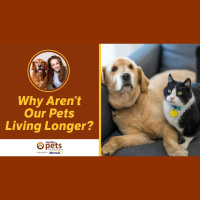 Why Aren’t Our Pets Living Longer?