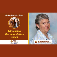 Dr. Hofve on Addressing Microcirculation Issues