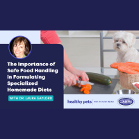 The Importance of Safe Food Handling in Formulating Specialized Homemade Diets