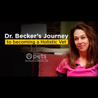 Dr. Beckers Journey to Becoming a Holistic Vet