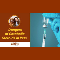 The Danger of Catabolic Steroids in Veterinary Practice