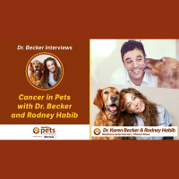 Treating Cancer in Pets