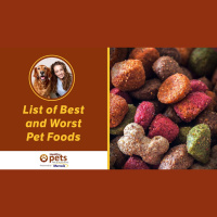 Dr. Becker Shares Her Updated List of Best and Worst Pet Foods