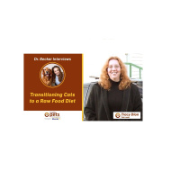 Tracy Dion on Transitioning Cats to a Raw Food Diet