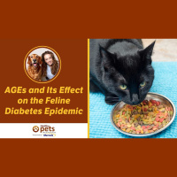 AGEs and Its Effect on the Feline Diabetes Epidemic