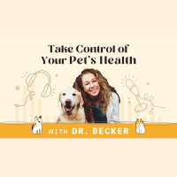 Groundbreaking Laser Procedure Improves Breathing in Flat-Faced Dogs - Discussion Between Dr. Boaz Man  Dr. Becker