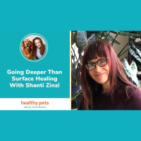 Going Deeper Than Surface Healing With Shanti Zinzi