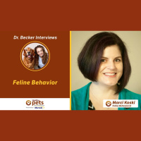 Dr. Koski on Feline Behavior