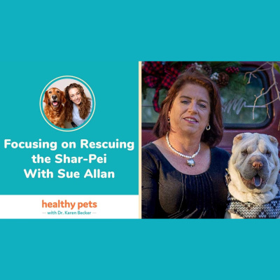 Animal Wellness Veterinarian Dr. Karen Becker