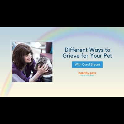 Animal Wellness Veterinarian Dr. Karen Becker