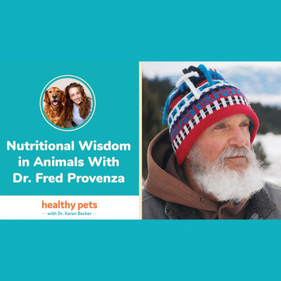 Animal Wellness Veterinarian Dr. Karen Becker