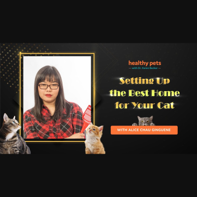 Animal Wellness Veterinarian Dr. Karen Becker