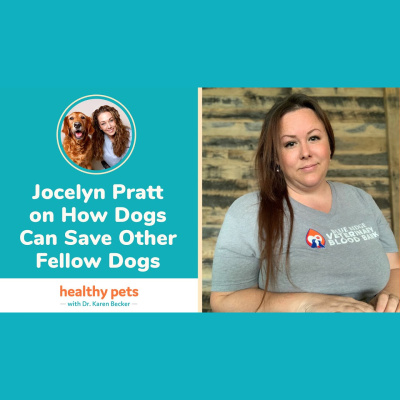 Animal Wellness Veterinarian Dr. Karen Becker