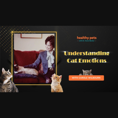 Animal Wellness Veterinarian Dr. Karen Becker