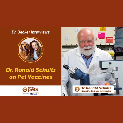 Animal Wellness Veterinarian Dr. Karen Becker