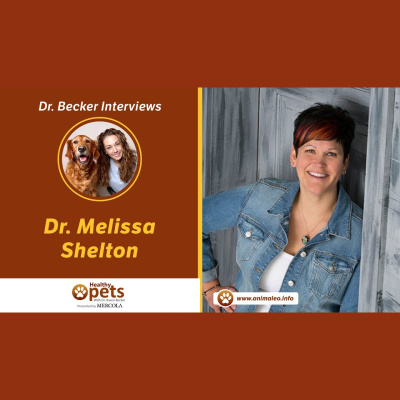 Animal Wellness Veterinarian Dr. Karen Becker