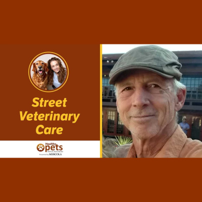 Animal Wellness Veterinarian Dr. Karen Becker