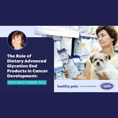 Animal Wellness Veterinarian Dr. Karen Becker