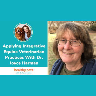 Animal Wellness Veterinarian Dr. Karen Becker