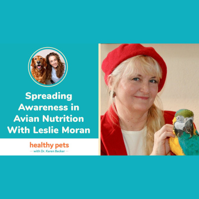 Animal Wellness Veterinarian Dr. Karen Becker