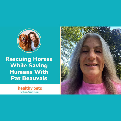 Animal Wellness Veterinarian Dr. Karen Becker