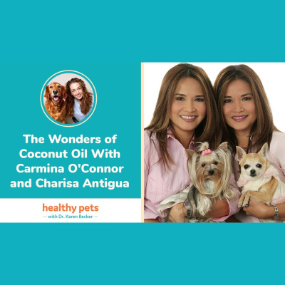 Animal Wellness Veterinarian Dr. Karen Becker