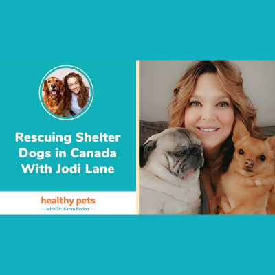 Animal Wellness Veterinarian Dr. Karen Becker