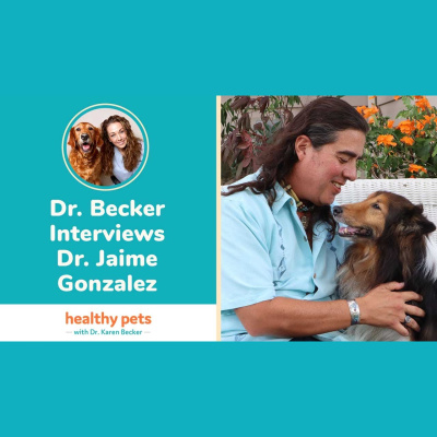 Animal Wellness Veterinarian Dr. Karen Becker
